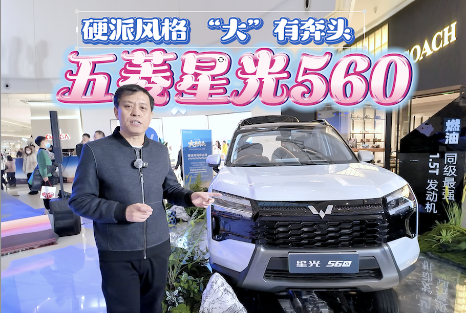 硬派风格 “大”有奔头 五菱星光560超